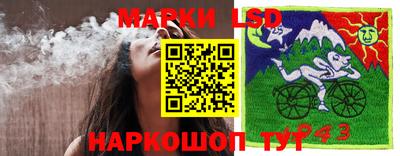 спайс Заволжье