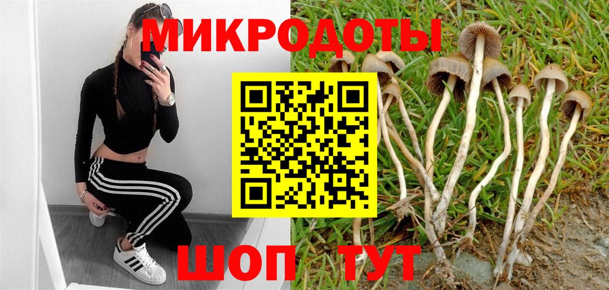 Псилоцибиновые грибы GOLDEN TEACHER  Псилоцибиновые грибы мухоморы  Губкинский  Вход с VPN 