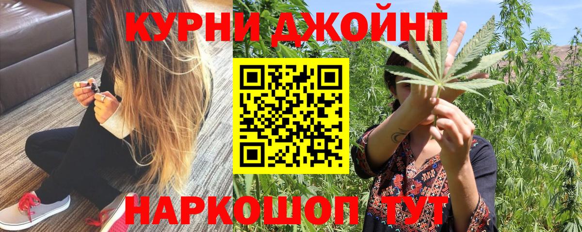 Бошки Шишки планчик Губкинский